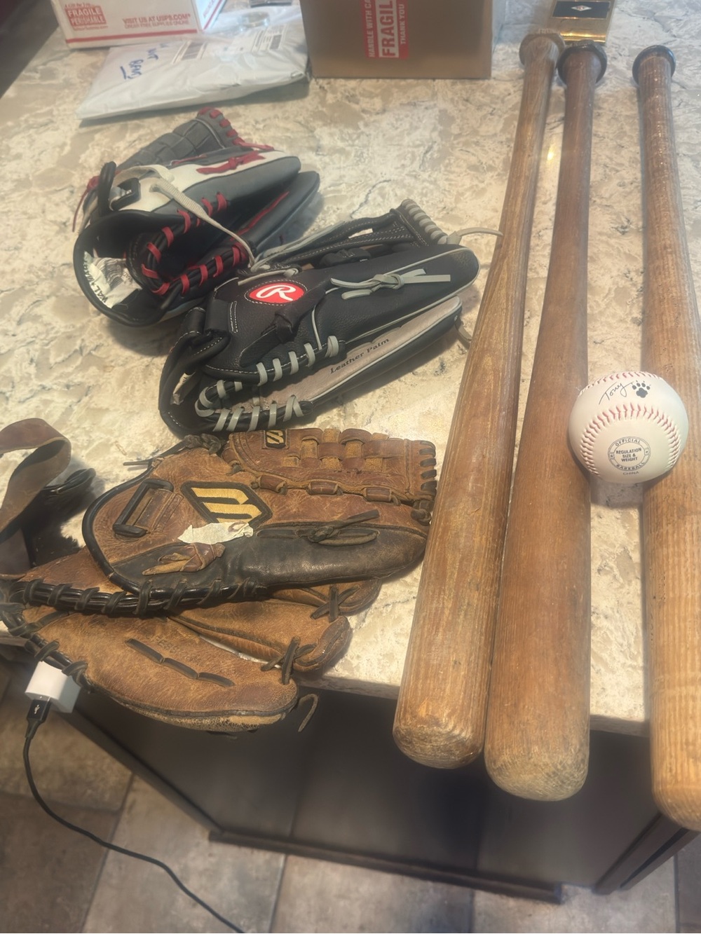 Rawlings Black Gray and Red Catcher's Mitt with Wooden Bats and Baseball v